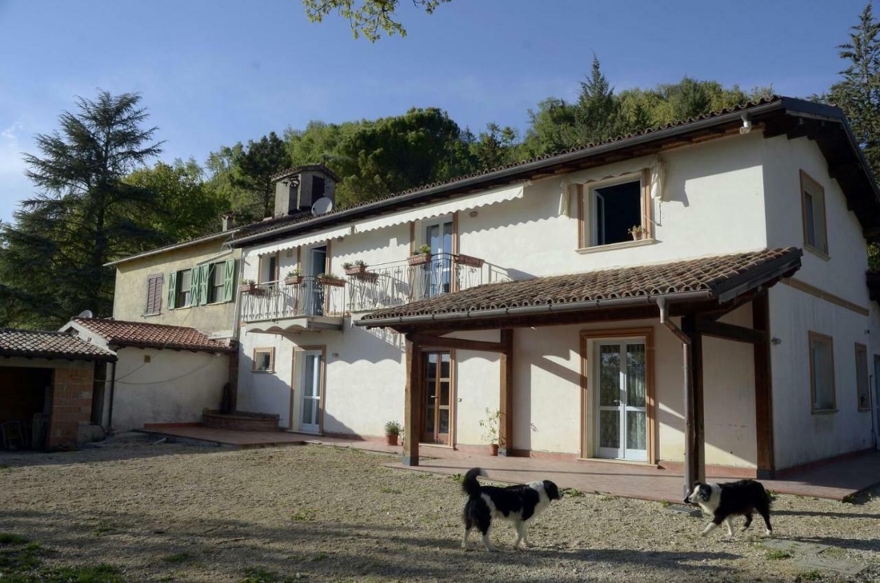 Bed and Breakfast Rifugio Nel Bosco Риети Экстерьер фото